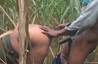 Desi Bhabhi in the sugarcane field