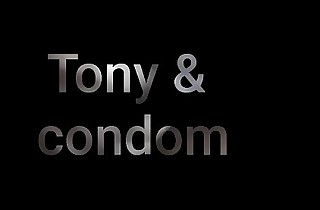 Thoroughbred and condom Trailer