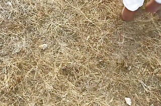 INDIAN SCHOOL CAUGHT WITH BOYFRIEND IN JUNGLE AND PUNISHED AS Immutable FUCK BY BLACK INDIAN Mendicant