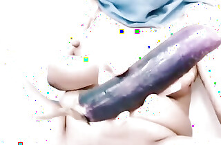 Wife Delights Eggplant Toy